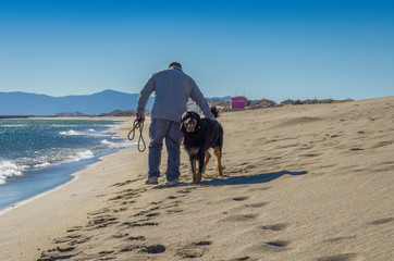 Friendship concept, man and his dog walking on beach.
