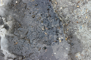 Melting snow asphalt slush water flow puddle dirty street sidewalk