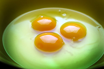 Uova ft8109_0569 Eggs