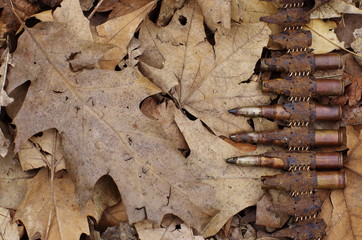 caliber bullet belt of the Second World War.  old rusted used steel ammo casings against the background of fallen leaves