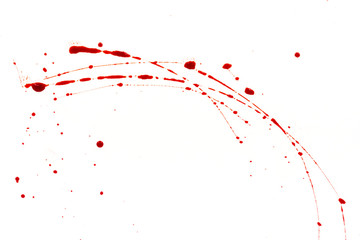 Bloody splashes and drops on a white background. Dripping and following red blood (paint) - obrazy, fototapety, plakaty