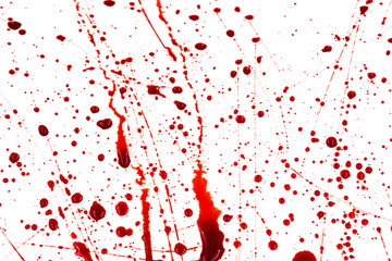 Bloody splashes and drops on a white background. Dripping and following red blood (paint)