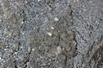Melting snow asphalt slush water flow puddle dirty street sidewalk