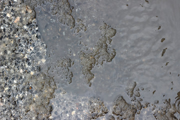 Melting snow asphalt slush water flow puddle dirty street sidewalk