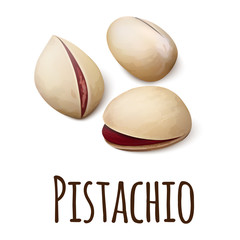 Pistachio icon. Realistic illustration of pistachio vector icon for web design isolated on white background