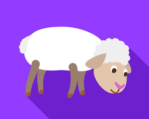 Sheep search food icon. Flat illustration of sheep search food vector icon for web design