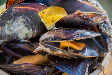 Mejillones al vapor con limón