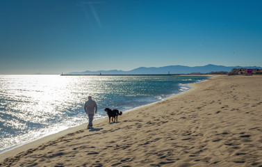 Friendship concept, man and his dog walking on beach.
