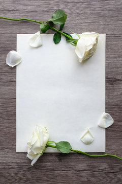 White roses on on wooden plank background with white card space border frame for message with copy space for valentine's day wedding ceremony