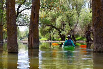 Fototapeta na wymiar Girl in green kayak among flooded trees. Kayaking in wilderness areas at Danube river among flooded trees at spring high water on Danube biosphere reserve.