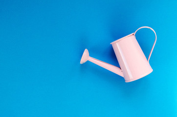 pink small watering can on blue background