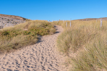 French landscape - Bretagne. Small path with dunes and grass.