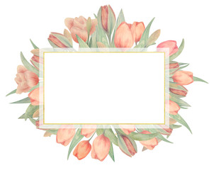 Watercolor frame with tulips. Drawn by hand. Ideal for logo, wedding invitations, cards, posters