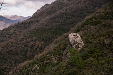 Lonely big gray stone on the mountainside, covered with forest, winter Sunny day