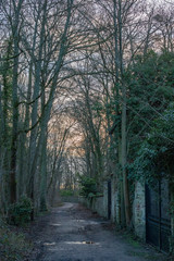 Naklejka premium Forêt du Château Louis XIV