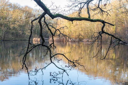 Etangs de Louveciennes 2