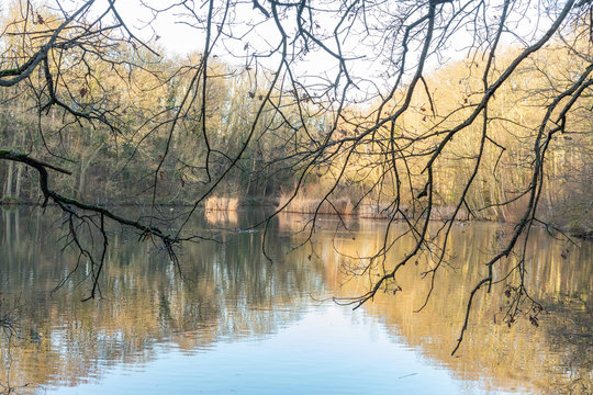 Etangs de Louveciennes