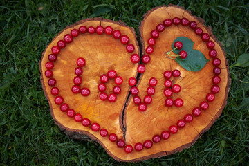 The heart and the word 