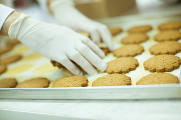 Cookies Factory