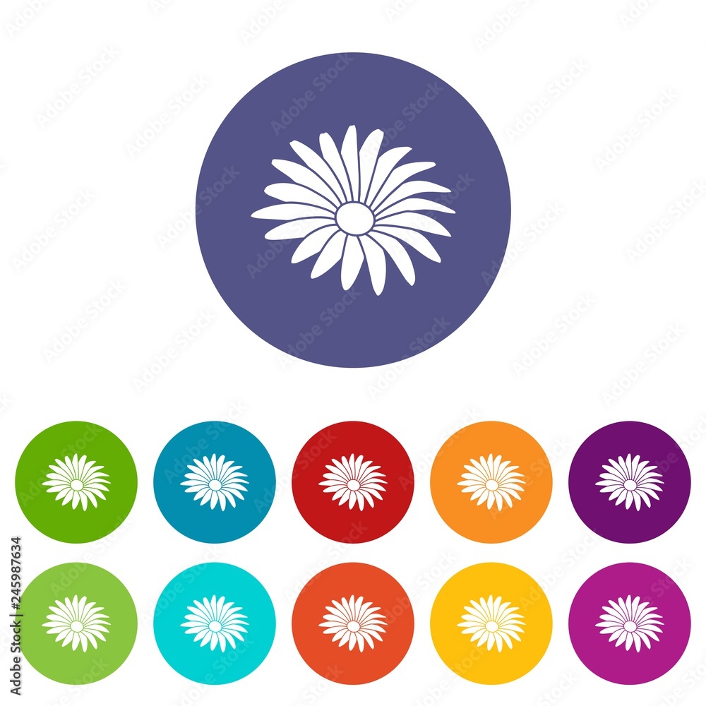 Poster gerber flower icons color set vector for any web design on white background