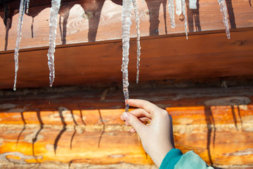 Woman's hand breaks icicle hanging from the roof of a wooden house