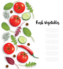 Fresh vegetables, herbs and spices frame. Food concept. Vector illustrtion