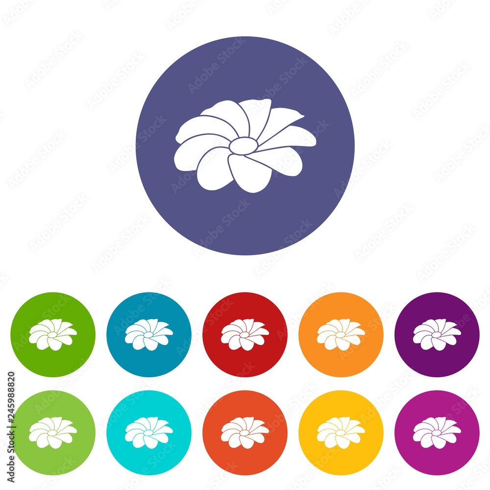 Poster bright flower icons color set vector for any web design on white background