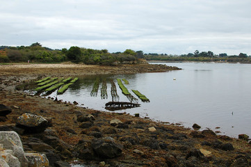 parc &agrave; hu&icirc;tre dans le golfe du Morbihan 01