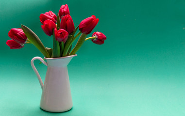 Red tulips in a white vase, green background, copy space
