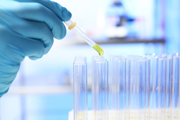 Laboratory assistant dripping urine sample for analysis from pipette into test tube, closeup