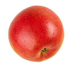 Fresh red apple isolated on white background with clipping path
