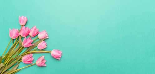 Springtime, easter. Pink tulips on green background, top view, copy space