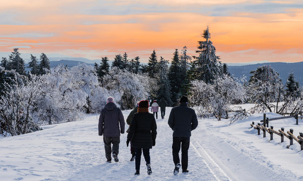 Fototapeta Wunderschöner Schwarzwald im Winter Schneelandschaft