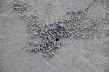 Traces of the construction of the crabs hole. Kata Beach on Phuket, Thailand.