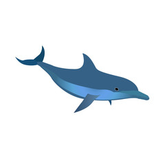 Dolphin vector