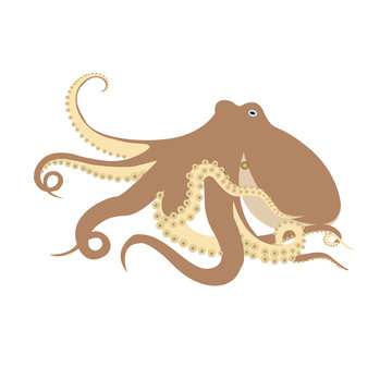 Big Octopus Vector