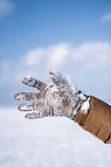 Close-up of a hand covered with snow on a cold winter day.