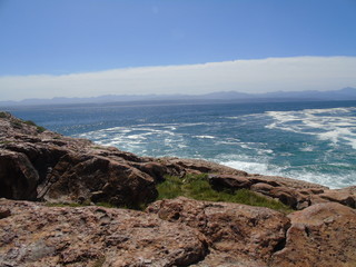Fototapeta na wymiar Küstenlandschaft in Südafrika