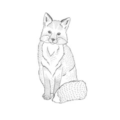 Vector decorative illustration of sitting happy fox forest animal Hand drawn decorative image isolated on white. Perfect for kids textile t-shirt colourig book design.