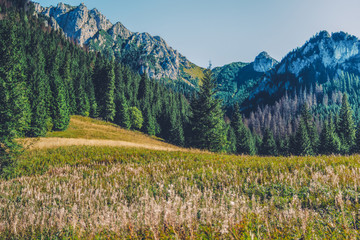 Polana Pisana in the Dolina Koscieliska valley in the Tatra mountains in Poland