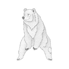 Vector decorative illustration of sitting happy brown bear forest animal Hand drawn decorative image isolated on white. Perfect for kids textile t-shirt colourig book design.