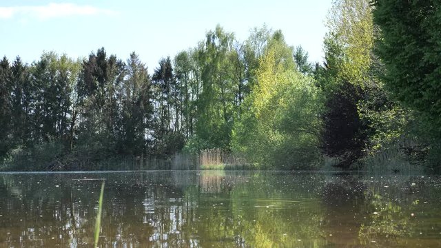 Idyllischer Weiher im Fr&uuml;hling mit B&auml;umen am Ufer, Insekten fliegen &uuml;ber dem Wasser