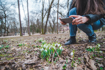 woman taking picture of snowdrops in city park