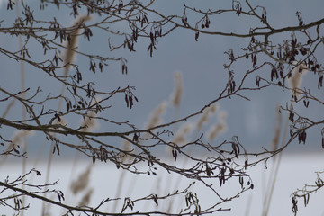 wspaniały zimowy widok © Jacek