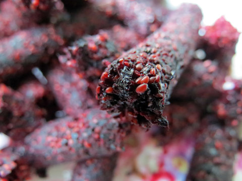 closeup of red berries