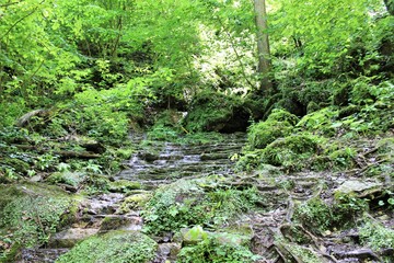  Staircase of stones leading up the mountain in the forest