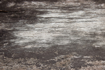 Old wood background with copy space, Closeup