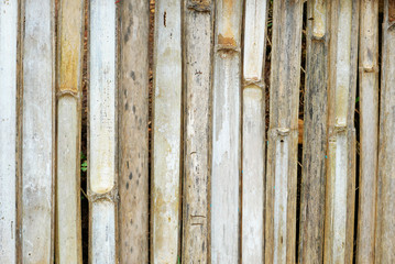 Old fence texture make from bamboo