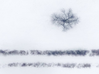 Drzewo na tle śniegu z góry