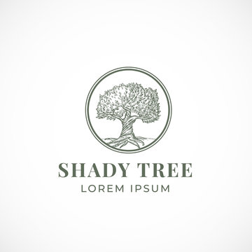 Shady Tree Abstract Vector Sign, Symbol or Logo Template. Hand Drawn Tree Sketch Sillhouette in a Circle with Retro Typography. Vintage Emblem.